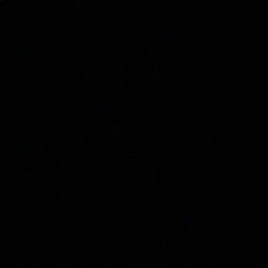 Meet your Posher, Corey